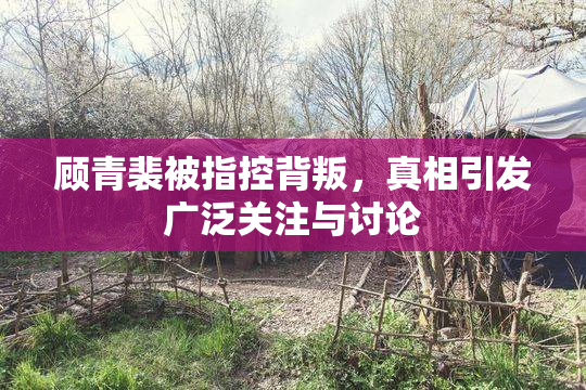 顾青裴被指控背叛，真相引发广泛关注与讨论