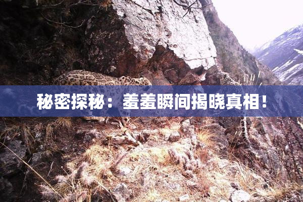 秘密探秘：羞羞瞬间揭晓真相！
