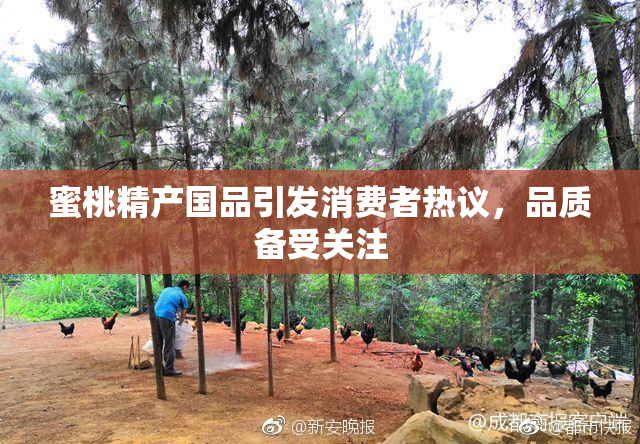 蜜桃精产国品引发消费者热议，品质备受关注