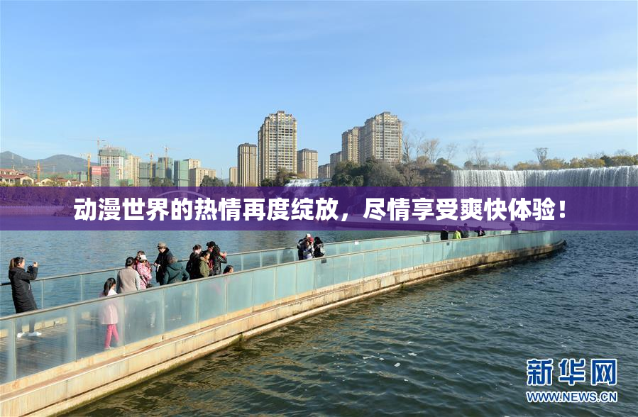 动漫世界的热情再度绽放，尽情享受爽快体验！