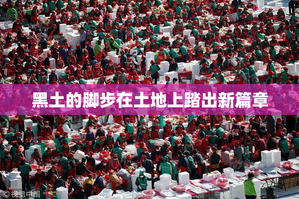 黑土的脚步在土地上踏出新篇章