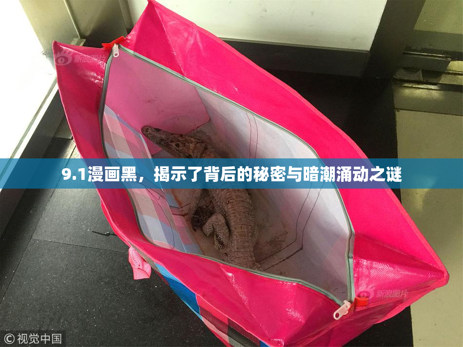 9.1漫画黑，揭示了背后的秘密与暗潮涌动之谜