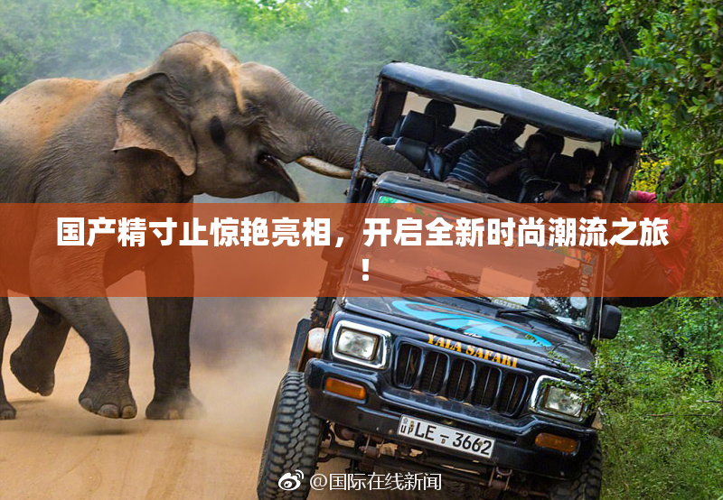 国产精寸止惊艳亮相，开启全新时尚潮流之旅！