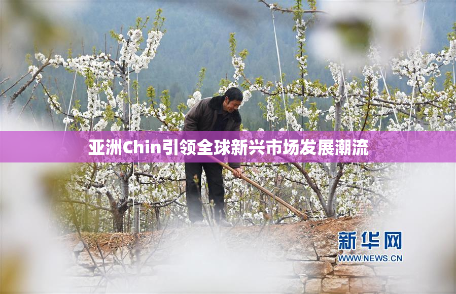 亚洲Chin引领全球新兴市场发展潮流