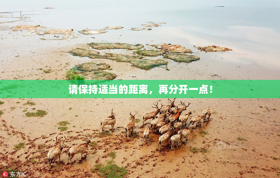 请保持适当的距离，再分开一点！