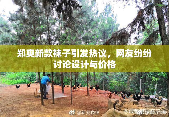 郑爽新款袜子引发热议，网友纷纷讨论设计与价格