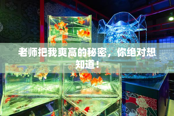 老师把我爽高的秘密，你绝对想知道！