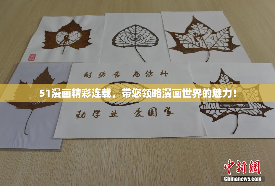 51漫画精彩连载，带您领略漫画世界的魅力！