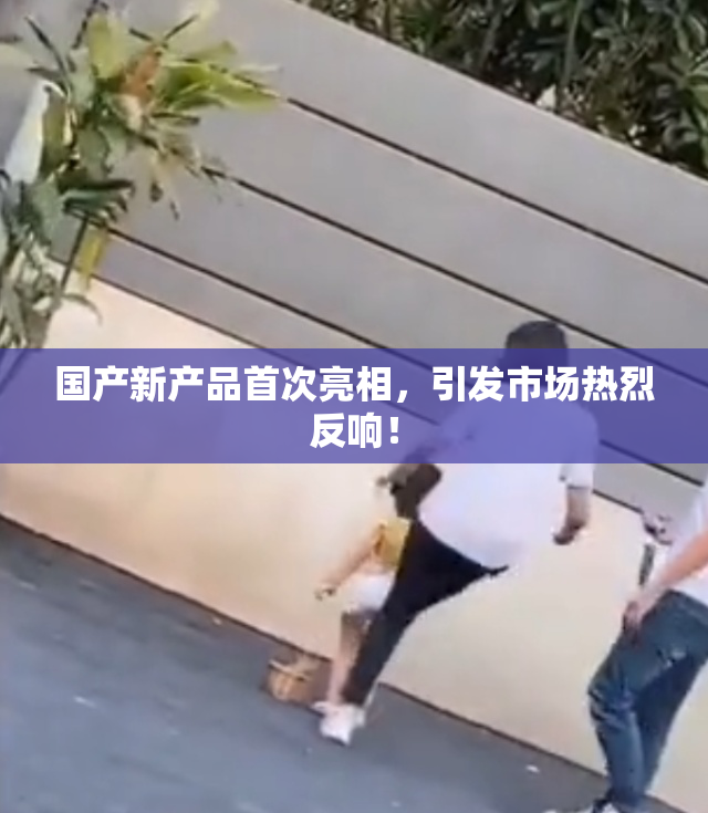 国产新产品首次亮相，引发市场热烈反响！