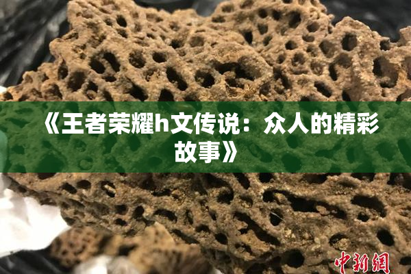 《王者荣耀h文传说：众人的精彩故事》