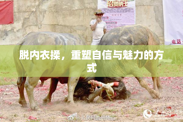 脱内衣揉，重塑自信与魅力的方式