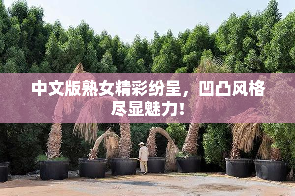 中文版熟女精彩纷呈，凹凸风格尽显魅力！