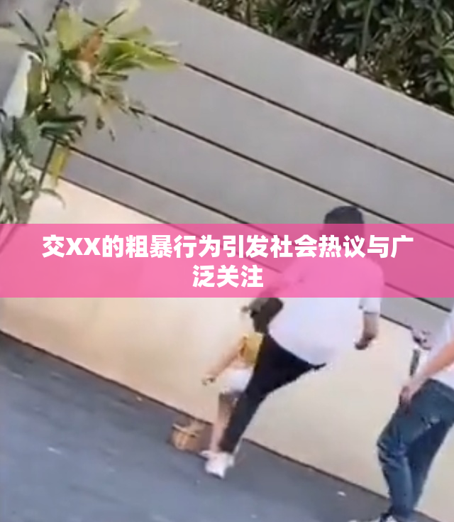 交XX的粗暴行为引发社会热议与广泛关注