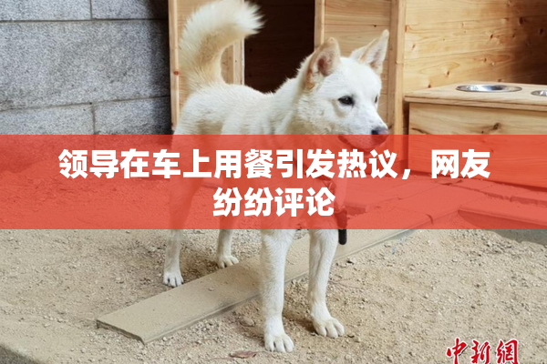领导在车上用餐引发热议，网友纷纷评论