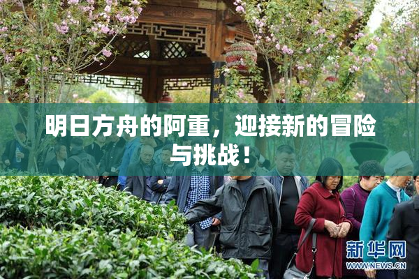 明日方舟的阿重，迎接新的冒险与挑战！