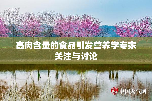 高肉含量的食品引发营养学专家关注与讨论