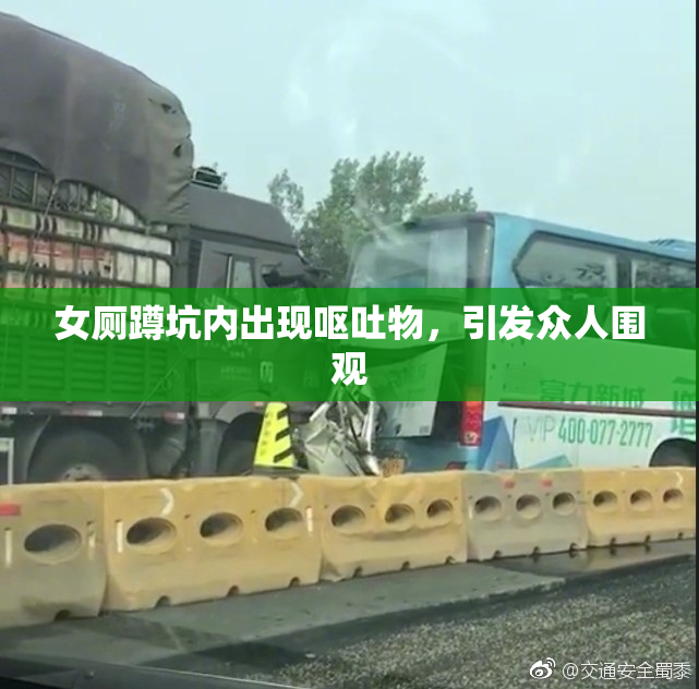女厕蹲坑内出现呕吐物，引发众人围观