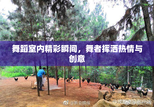 舞蹈室内精彩瞬间，舞者挥洒热情与创意