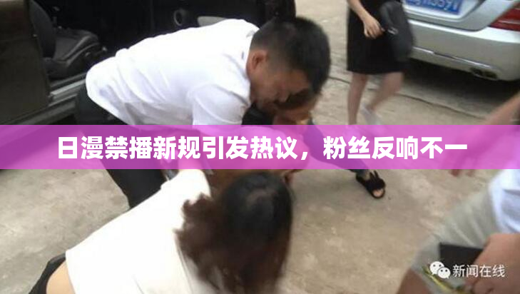 日漫禁播新规引发热议，粉丝反响不一