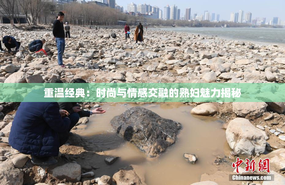 重温经典：时尚与情感交融的熟妇魅力揭秘