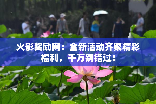 火影奖励网：全新活动齐聚精彩福利，千万别错过！