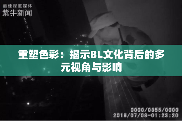 重塑色彩：揭示BL文化背后的多元视角与影响
