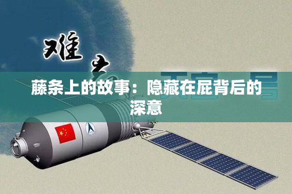 藤条上的故事：隐藏在屁背后的深意