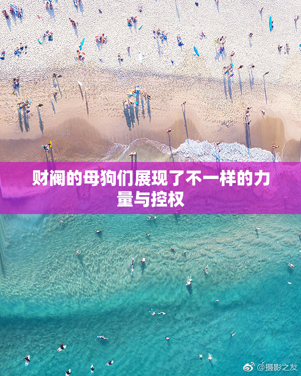 财阀的母狗们展现了不一样的力量与控权