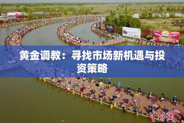 黄金调教：寻找市场新机遇与投资策略