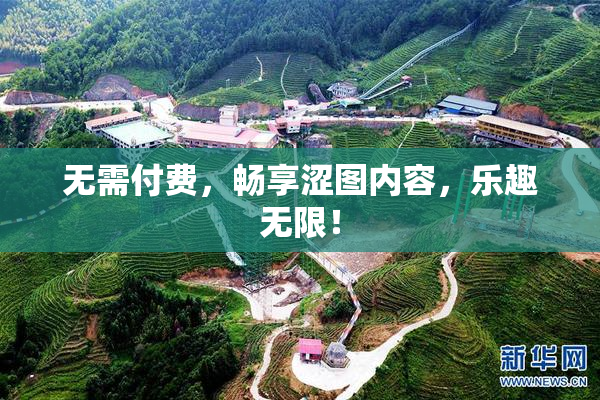 无需付费，畅享涩图内容，乐趣无限！