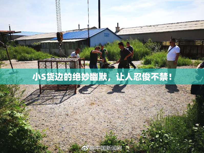 小S货边的绝妙幽默，让人忍俊不禁！