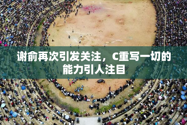 谢俞再次引发关注，C重写一切的能力引人注目