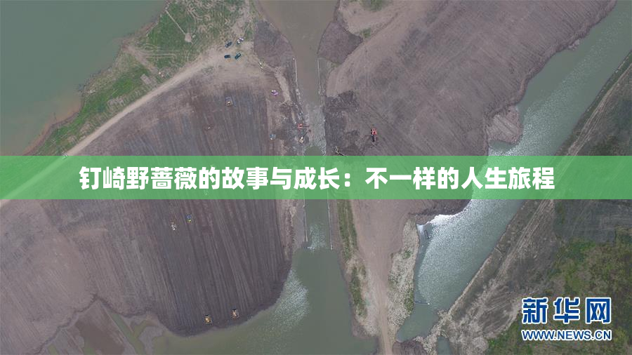 钉崎野蔷薇的故事与成长：不一样的人生旅程
