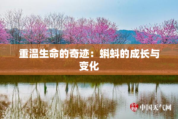 重温生命的奇迹：蝌蚪的成长与变化
