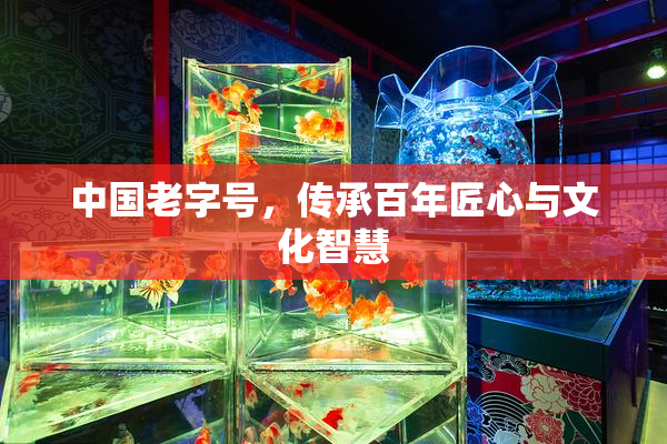 中国老字号，传承百年匠心与文化智慧