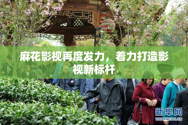 麻花影视再度发力，着力打造影视新标杆