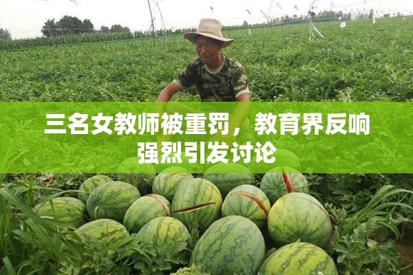 三名女教师被重罚，教育界反响强烈引发讨论