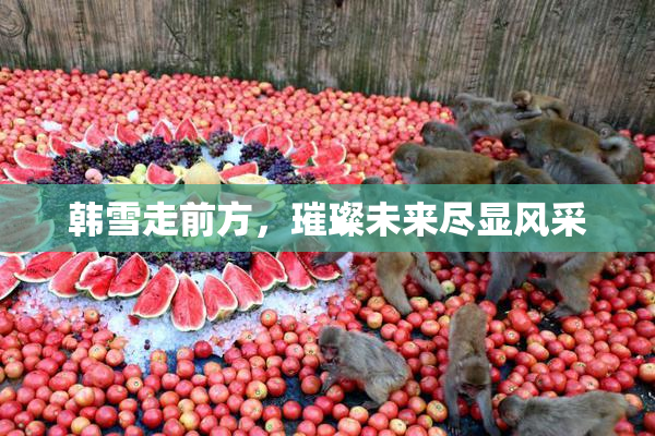 韩雪走前方，璀璨未来尽显风采