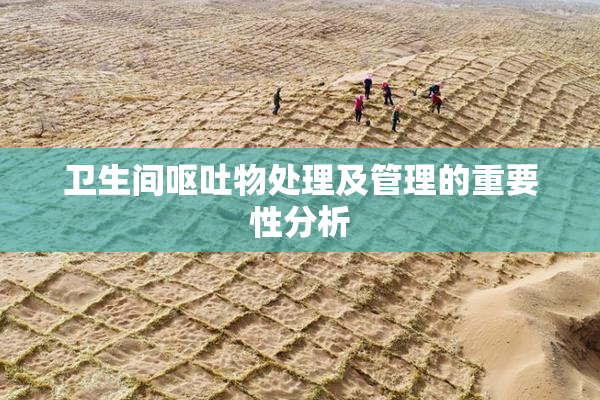 卫生间呕吐物处理及管理的重要性分析
