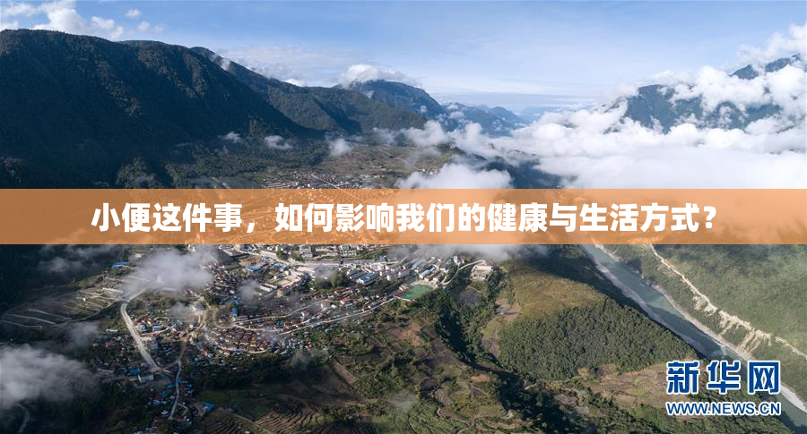 小便这件事，如何影响我们的健康与生活方式？