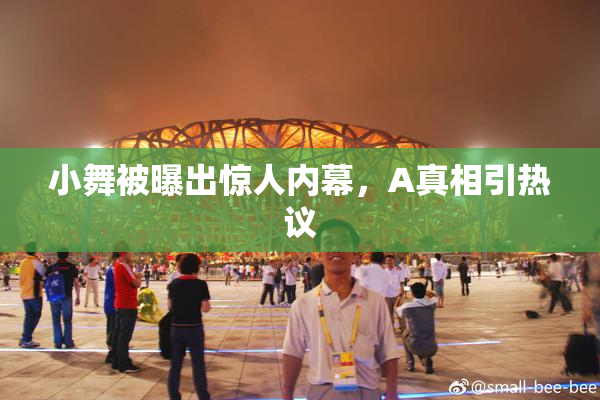 小舞被曝出惊人内幕，A真相引热议