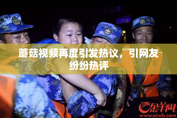 蘑菇视频再度引发热议，引网友纷纷热评