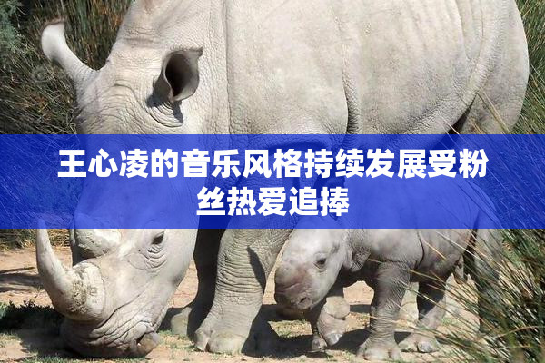 王心凌的音乐风格持续发展受粉丝热爱追捧