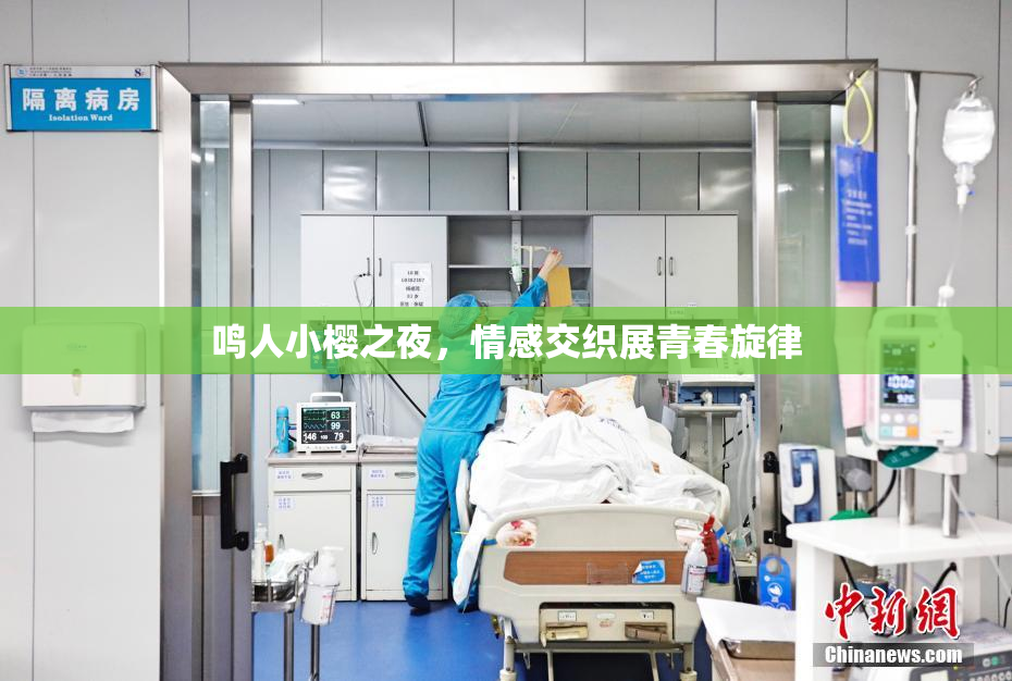 鸣人小樱之夜，情感交织展青春旋律