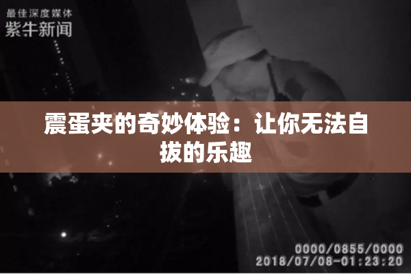 震蛋夹的奇妙体验：让你无法自拔的乐趣