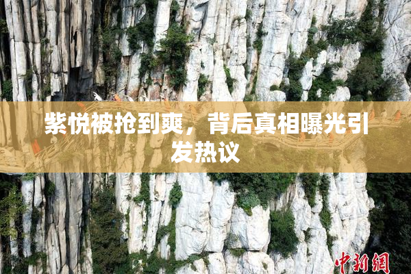 紫悦被抢到爽，背后真相曝光引发热议