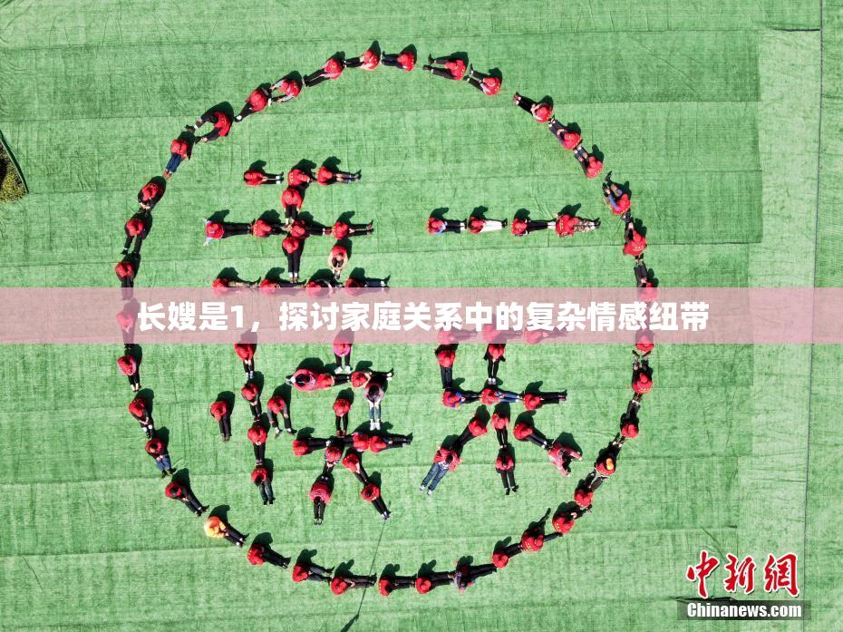 长嫂是1，探讨家庭关系中的复杂情感纽带