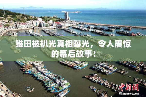 雏田被扒光真相曝光，令人震惊的幕后故事！