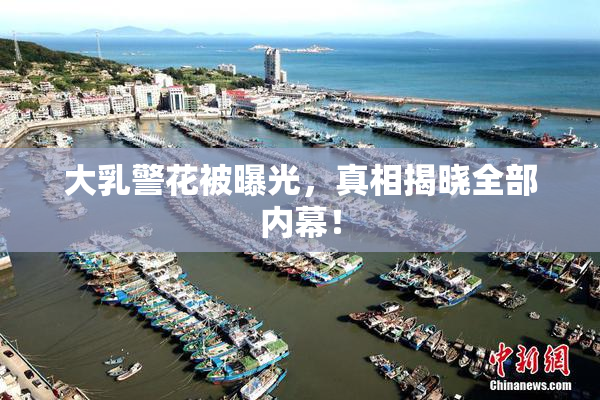 大乳警花被曝光，真相揭晓全部内幕！