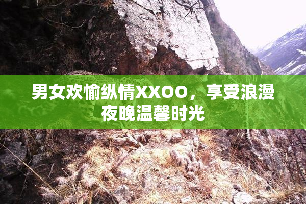 男女欢愉纵情XXOO，享受浪漫夜晚温馨时光